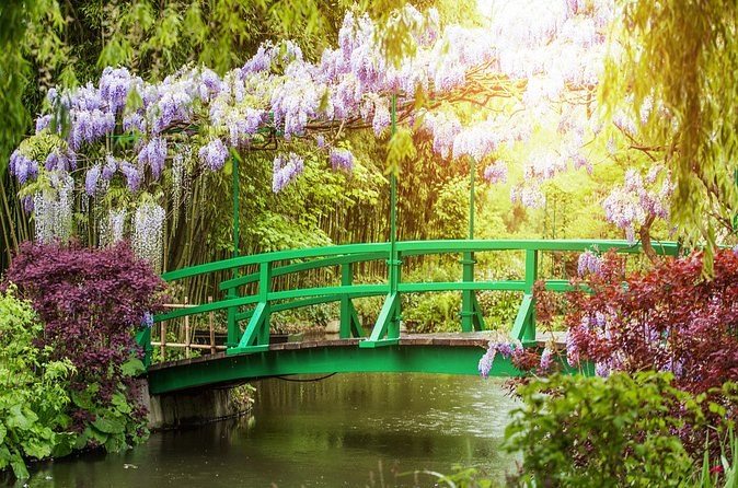 The green Japanese bridge under trails of mauve wisteria