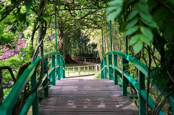 The wooden deck of the green footbridge, its rails leading into the bamboo