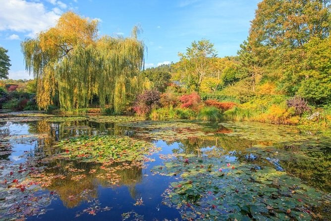 The pond in autumn, the willows and maples turned yellow and red