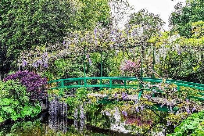 Mauve wisteria hanging over the green bridge and the pond below
